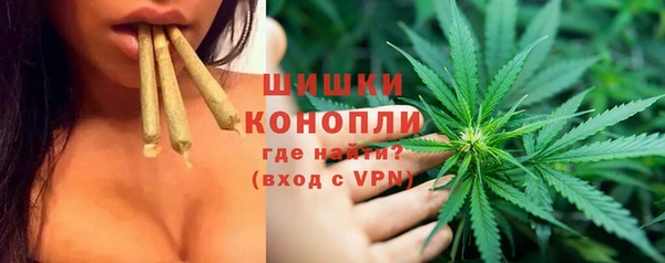 спайс Алексин
