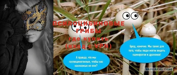 спайс Алексин