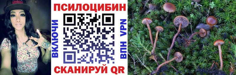 Псилоцибиновые грибы прущие грибы  mega ТОР  Агидель  купить  сайты 